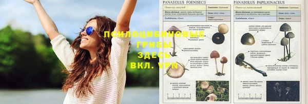 Альфа ПВП Наволоки