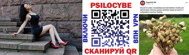 цены наркотик  Пудож  МЕГА как зайти  Псилоцибиновые грибы прущие грибы 